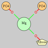 MgRNA type cis-2OP-OR     