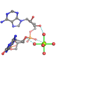 MgRNA representative site for type PO-2RO         